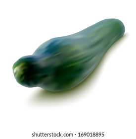 realistic illustration of fresh cucumber - vector illustration