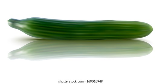 realistic illustration of fresh cucumber - vector illustration