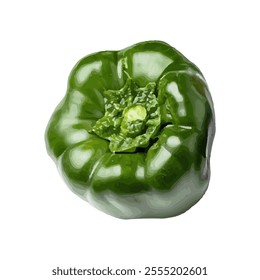 A realistic illustration of a fresh green bell pepper, showcasing its texture and shape.