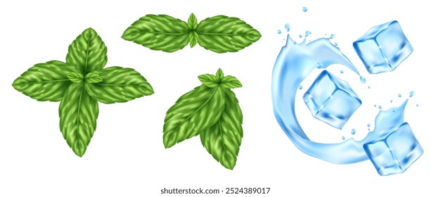 Realistic illustration of fresh mint leaves and ice cubes with water splash on white background.