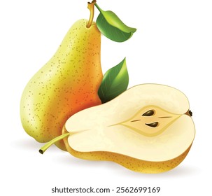 Realistic illustration of fresh pear fruit isolated white background