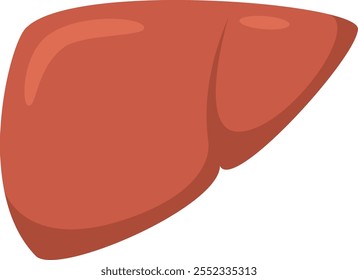 Realistic illustration of a healthy human liver, raising awareness for organ donation and emphasizing the importance of a healthy lifestyle