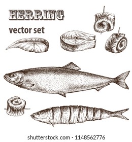 Realistic illustration of herring. Design elements for invitations, announcements, fish markets, restaurants, agricultural fairs.