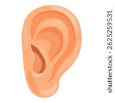 Realistic illustration of a human ear, symbolizing the sense of hearing and the act of listening