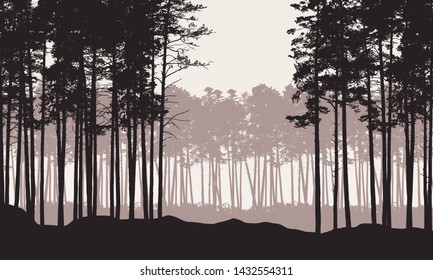 Realistic illustration of landscape with coniferous forest with pine trees under retro sky. With space for your text - vector