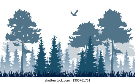 
Realistic illustration of landscape with a forest with coniferous trees.