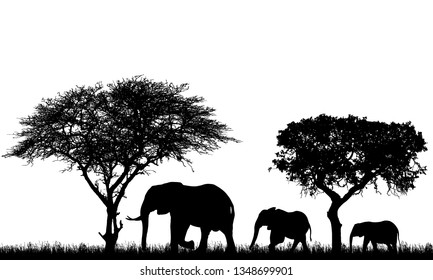 Realistic illustration of landscape with trees in african safari. A family of three elephants walking on grass - vector
