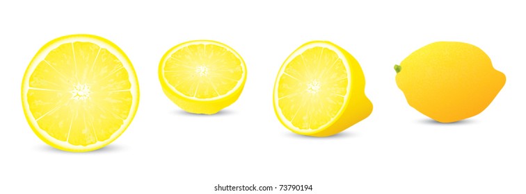 realistic illustration of lemon - collection