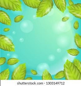 Realistic Illustration Mint Leaves on Green Background. 3d Vector image with Frame Fresh Mint Leaves. Using Fragrant Plant in different directions. Advertising place in any variations