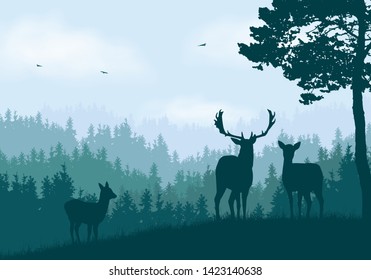 Realistic illustration of mountain landscape with coniferous forest under clear blue and green sky with white clouds. Deer, doe and little deer standing and looking into valley - vector