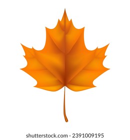 A realistic illustration of a orange maple leaf, capturing the essence of autumn. Not AI generated.