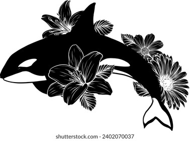 Realistic illustration of orca whale vector icon for web design isolated on white background