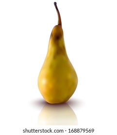 realistic illustration of pear - vector illustration