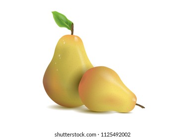 Realistic illustration pears isolated on white background