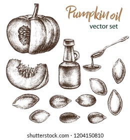 Realistic illustration of pumpkin . Botanical drawing. Sketsh hand drawn. Pumpkin oil.  Design elements for postcards, ads, promotional invitations, medical markets and vegetarian cafe.