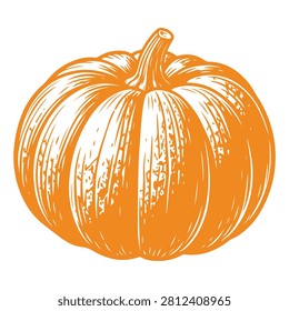 A realistic illustration of a pumpkin showcasing its textured surface and vibrant orange color, ideal for autumn and harvest themes.