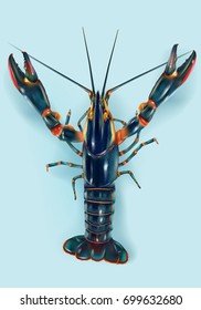 a realistic illustration of a red claw crayfish, freshwater lobsters, on the top views isolated on light blue.