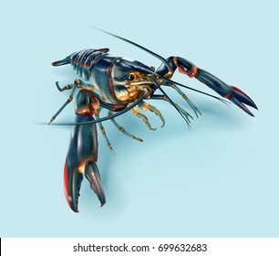 a realistic illustration of a red claw crayfish, freshwater lobsters, on the perspective views isolated on light blue.