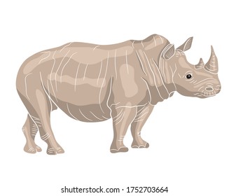 Realistic Illustration Rhino Clipart Style Isolate Stock Vector ...