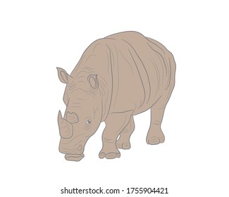 Realistic illustration of a rhino in clipart style in isolate on a white background. African animal.Vector illustration.