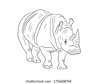 Realistic illustration of a rhino in clipart style in isolate on a white background. African animal.Vector illustration.