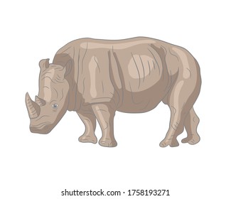 Realistic illustration of a rhino in clipart style in isolate on a white background. African animal.Vector illustration.