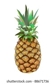 Realistic illustration of ripe PINEAPPLE. Closeup. Leafs. Ananas. Vector.