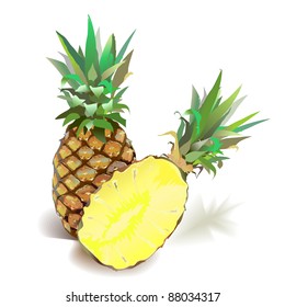 Realistic illustration of ripe PINEAPPLE and half. Closeup. Leafs. Ananas. Shadow. Vector.