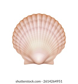 Realistic illustration of scallop shell in soft pastel colors representing marine life and beach themes isolated on white background with copy space.