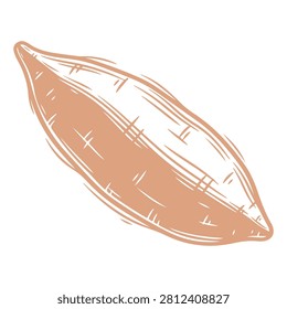 A realistic illustration of a seashell highlighting its natural texture and intricate details, isolated on a plain background.