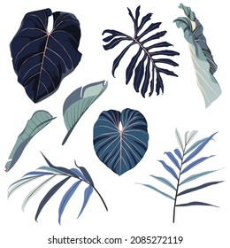 Realistic illustration set of tropical palm leaves and plants isolated on white background. Colorful blue plant collection. Botanical elements for cosmetics, spa, beauty care products.