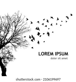 Realistic illustration with silhouettes of three birds - crows or ravens sitting on tree branch without leaves and flying, isolated on white background - vector