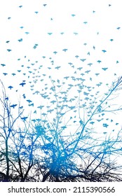 Realistic illustration with silhouettes of three birds - crows or ravens sitting on blue tree branch without leaves and flying, isolated on white background - vector