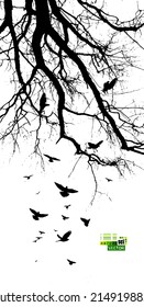 Realistic illustration with silhouettes of three birds - crows or ravens sitting on tree branch without leaves and flying, isolated on white background - vector