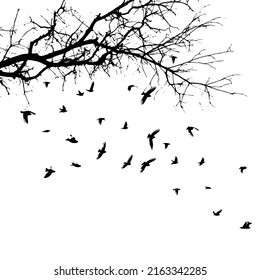 Realistic illustration with silhouettes of three birds - crows or ravens sitting on tree branch without leaves and flying, isolated on white background - vector