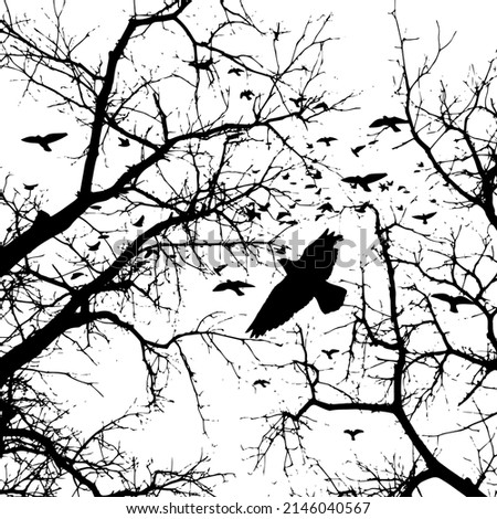 Realistic illustration with silhouettes of three birds - crows or ravens sitting on tree branch without leaves and flying, isolated on white background - vector