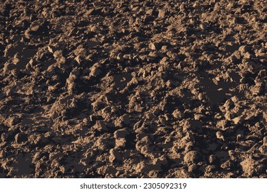 Ilustración realista del fondo de textura del suelo. Suelo fértil adecuado para la siembra. Campo agrícola de flores, cierre de tierras secas.