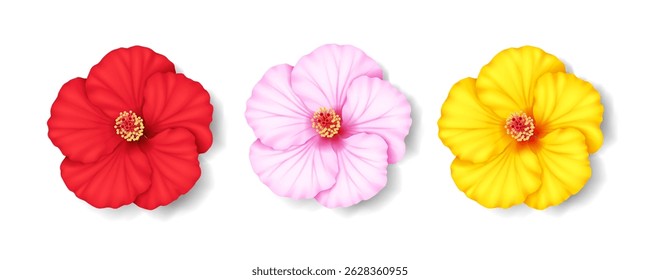 Realistic illustration of three hibiscus flowers in red, pink, and yellow shades. Detailed petals with vivid colors create a striking visual against a white background.