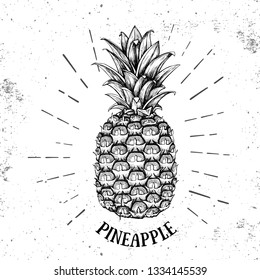Realistic illustration of tropic fruit pineapple on grunge background