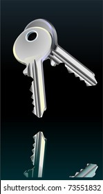 Realistic illustration of two door keys on black. Reflection. Chrome. Nickel. Vector.