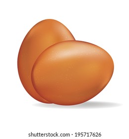 Realistic illustration of two eggs on white background