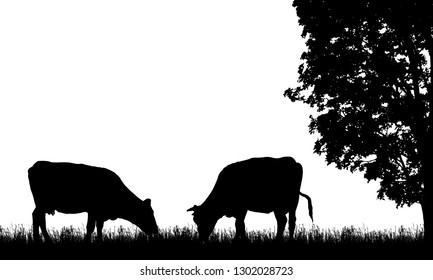 Realistic illustration with two silhouette of cow on pasture, grass and tree, isolated on white background - vector