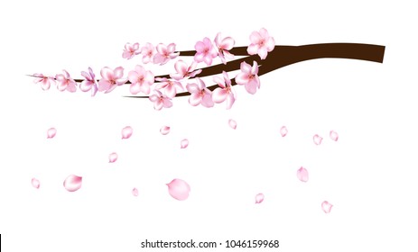 Realistic Illustration Vector Cherry Branch. Spring Design with Apple, Peach, Sakura, Apricot Blossoms and Falling Down Petals. Magic Love Spring Background, Nice Showering Petals, Wedding Decoration.