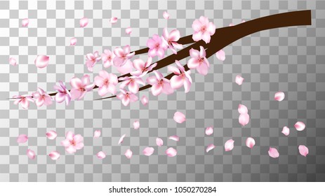 Realistic Illustration Vector Cherry Branch. Spring Design with Apple, Peach, Sakura, Apricot Blossoms and Petals Falling Down. Realistic Vector Cherry Branch, Showering Petals, Wedding Decoration.