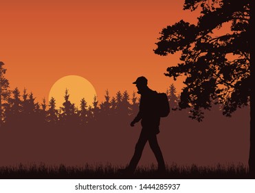 Realistic illustration of walking tourist with backpack, grass and high tree. Forest under orange sky with rising sun. With space for text - vector