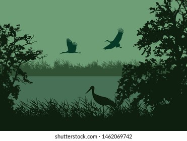 Realistic illustration of wetland landscape with river or lake, water surface and birds. Stork flying under green morning sky - vector