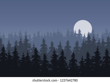 Realistic illustration of a winter coniferous spruce or fir forest under a gray night sky with a moon - vector