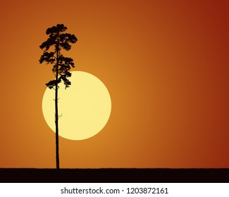 realistic illustrations with silhouetted conifer tree and grass, with rising or setting sun at morning or evening orange sky - vector