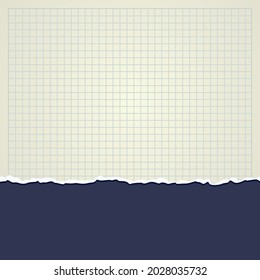 Realistic illustrations of torn page of notebook