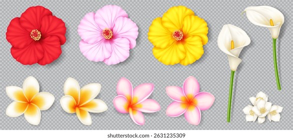 Realistic illustrations of vibrant tropical flowers including hibiscus, plumeria, and calla lilies. Bright red, pink, yellow hues displayed on transparent background for design uses.